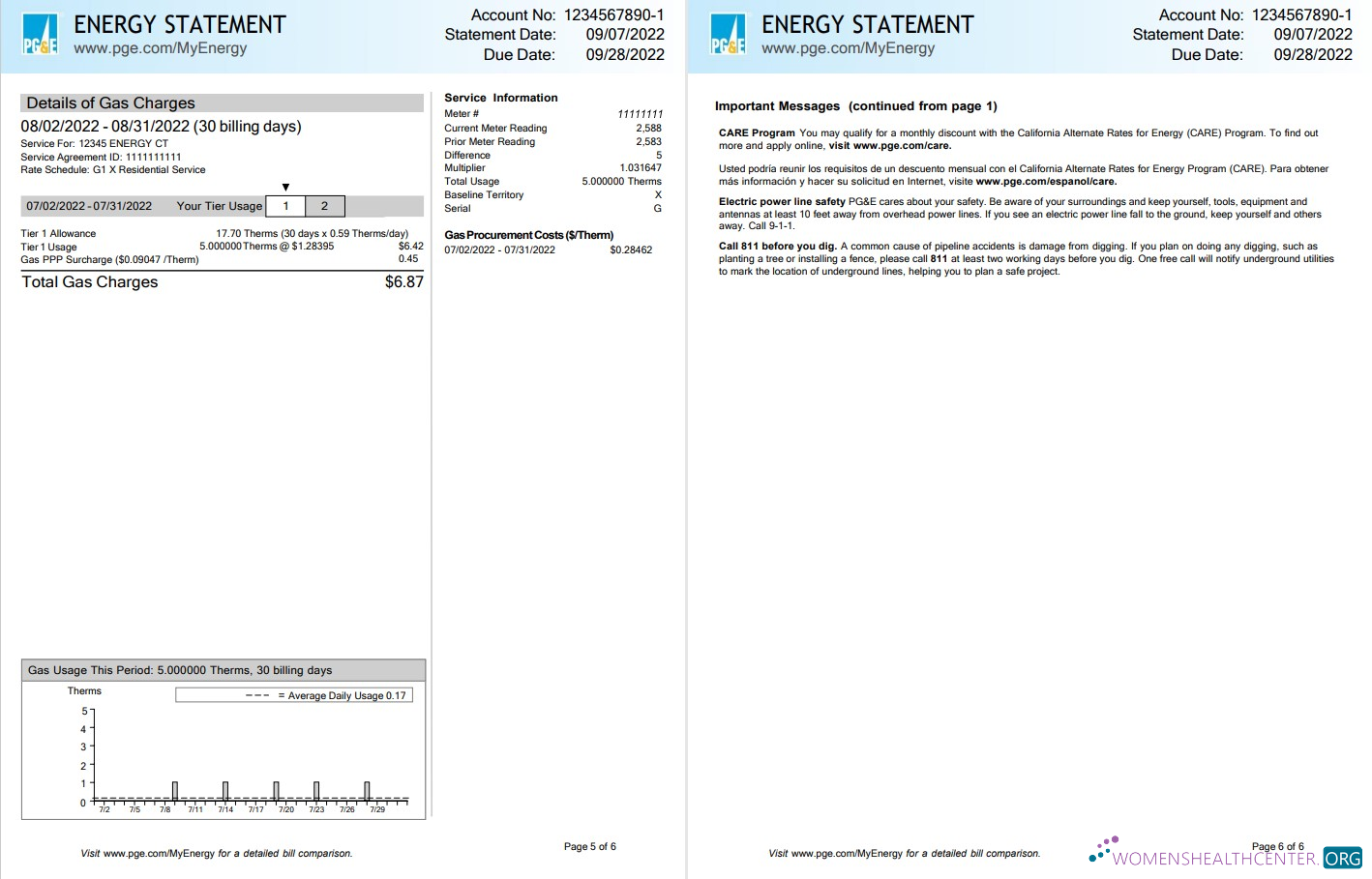 USA California PG&E (Pacific Gas and Electric Company) utility bill, Word and PDF template, 6 pages 5 6